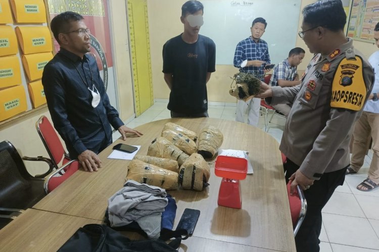 7 Kg Ganja Asal Aceh Diamankan Satnarkoba Polresta Deli Serdang