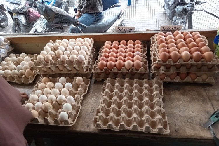 Harga Telur Naik Drastis di Pasar Tradisional Medan