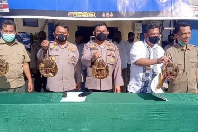 Polairud Polda Sumut Gagalkan Perdagangan Satwa yang Dilindungi