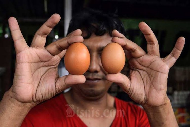 Zulhas Klaim Harga Telur Melambung Tinggi Karena Bansos