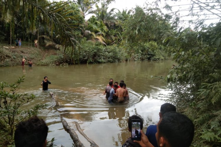 Seorang Ibu Rumah Tangga Diserang Buaya di Madina