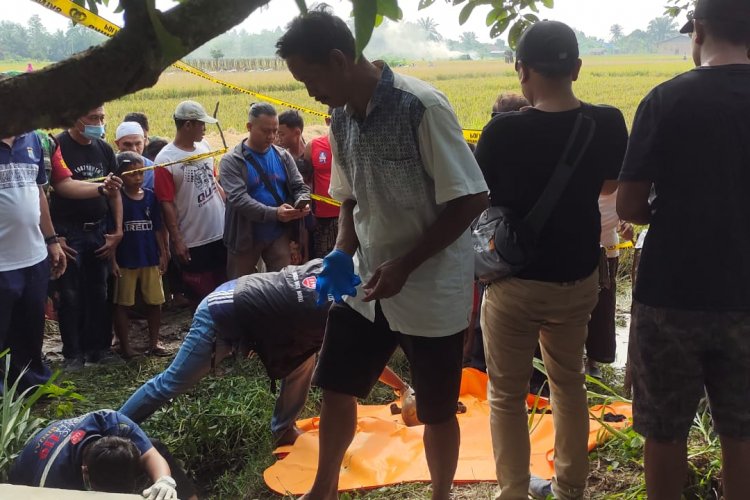 Warga Binjai Gempar Penemuan Tengkorak Manusia