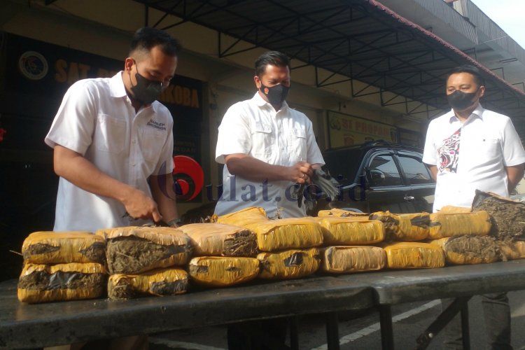 Polisi Beberkan Temuan Ganja Tak Bertuan, Begini Penjelasannya