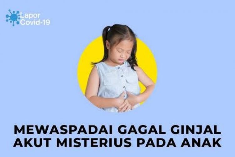 Hati-Hati, Gagal Ginjal Akut Anak di Indonesia Sudah Capai 192 Kasus