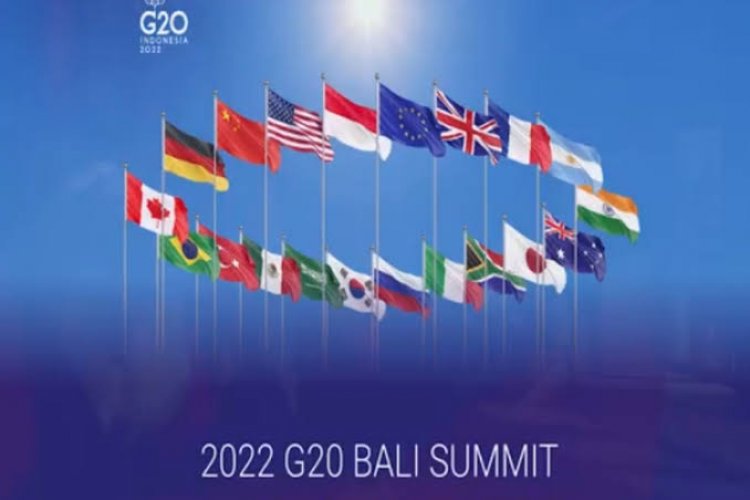 Imigrasi Amankan 2 WNA yang Akan Demonstrasi di Acara G20 Bali