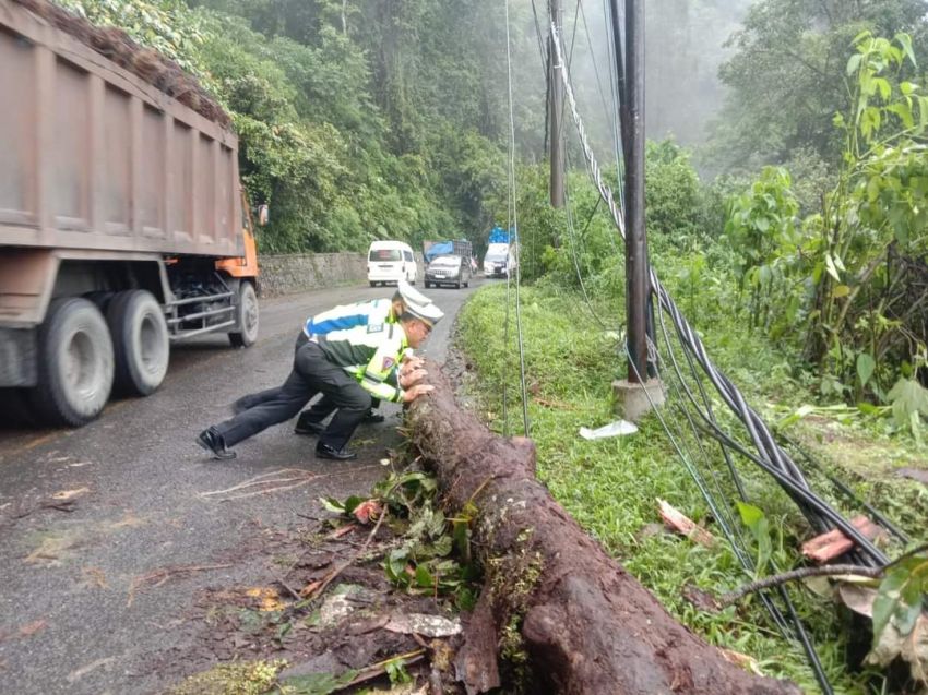 Pohon dan Tiang Listrik Tumbang, Jalur Medan-Berastagi Macet Panjang