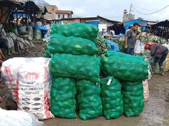 Akhir Tahun Petani Sayur di Karo Diuntungkan