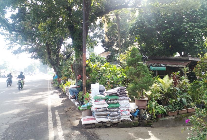 Heboh Bau Bunga di Jalan Kota Medan, Begini Penjelasannya