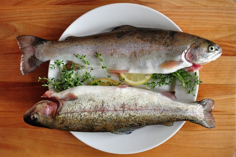 7 Jenis Ikan yang Harus Diwaspadai Penderita Kolesterol