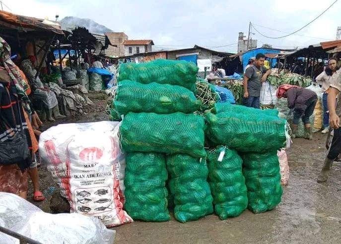 Harga Tomat Merangkak Naik
