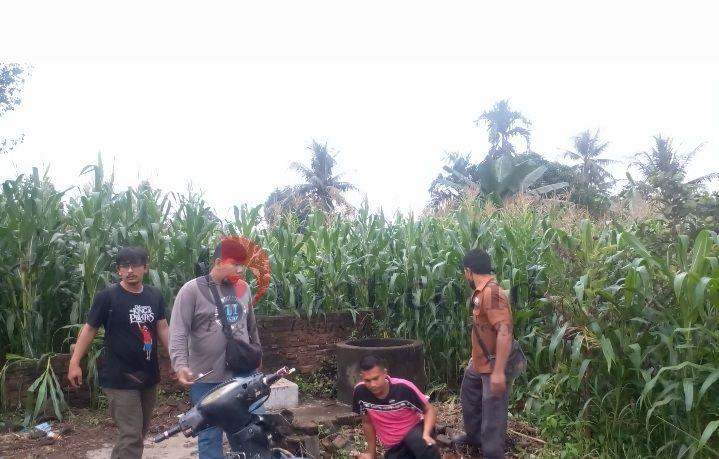 Warga Sunggal Gempar, Mayat Gadis Berseragam SMA Ditemukan di Ladang Jagung