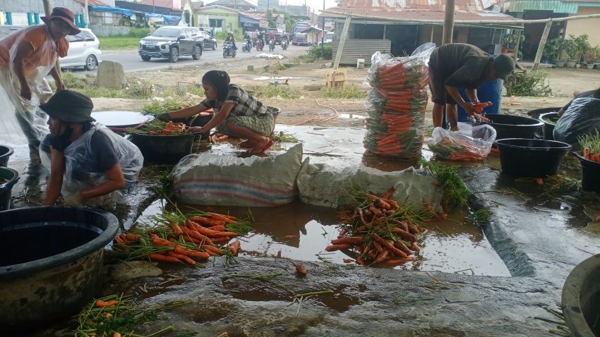 Berikut Harga Komoditas di Karo Hari Ini