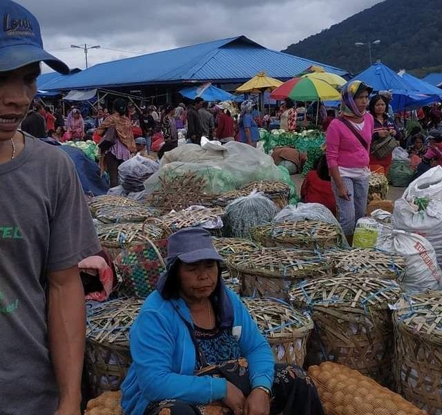 Harga Sayur Dari Tanah Karo Mulai Terjangkau