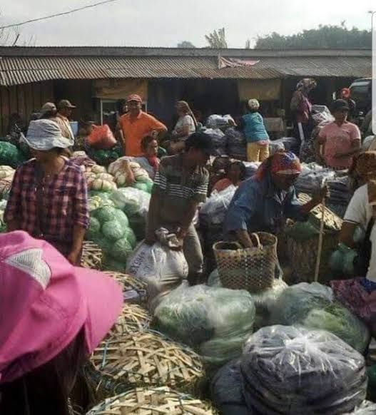 Beberapa Harga Sayur di Karo Turun