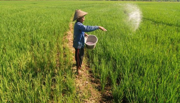 Stok Pupuk Nasional RI Dinilai Aman