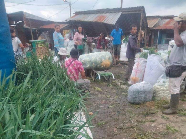 Meski Harga Sayur Mayur Turun, Pengepul Tetap Kirim Keberbagai Daerah