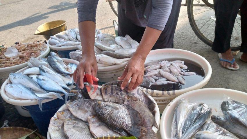 Cuaca Ektrim Mereda, Pedagang Ikan Lega