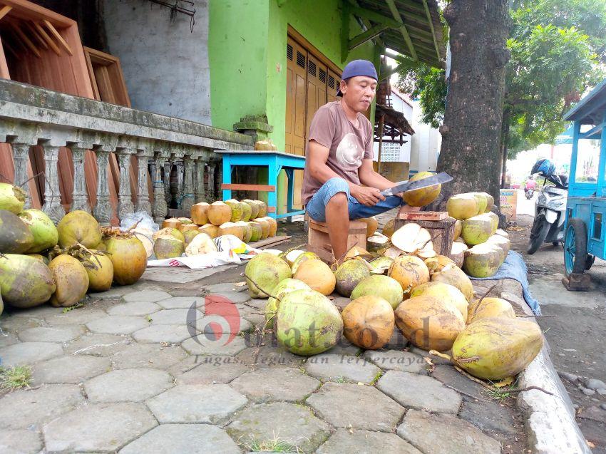 Pedagang Kelapa Muda di Pemalang Keluhkan Cuaca Tidak Menentu