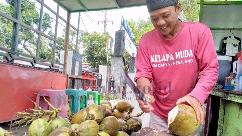 Ribuan Butir Kelapa Obat dan Kelapa Muda Didatangkan Dari Purbalingga