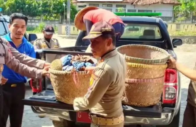 Informasi Razia ‘Durian Celeng’ di Batang Diduga Bocor