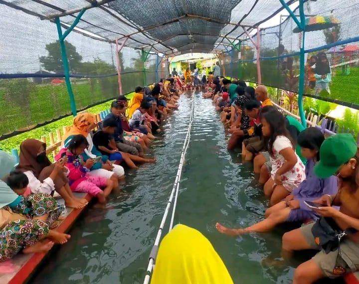 Terapi Ikan Tengah Sawah Bojongnangka Ramaikan Akhir Pekan