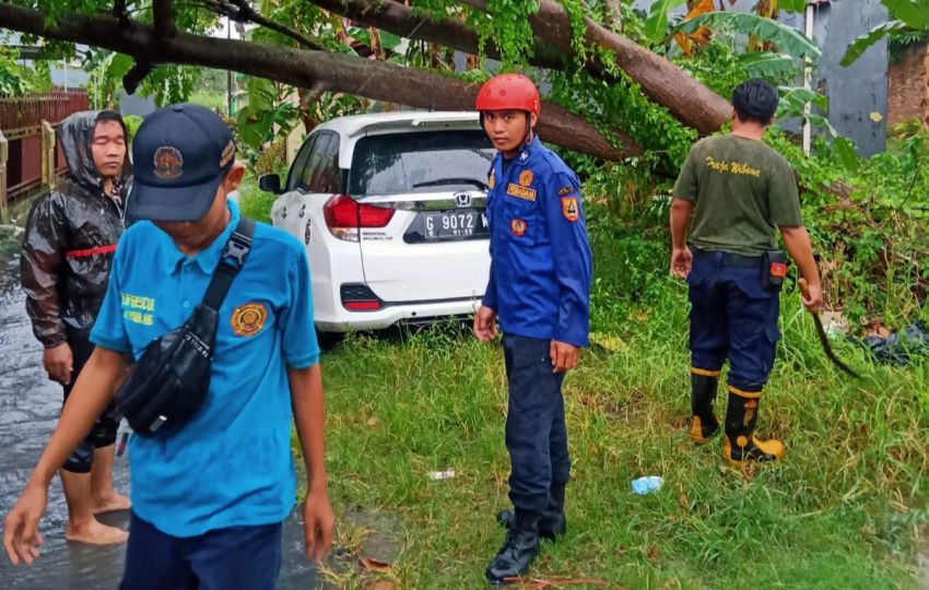 Pohon Tumbang Akibat Hujan Deras, Satu Unit Mobil Ringsek Tertimpa