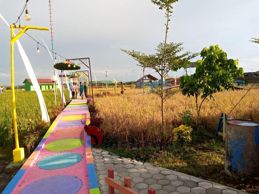 Jembatan Pelangi Tengah Sawah Bojongnangka Adalah Sebuah Kreatifitas Tanpa Batas