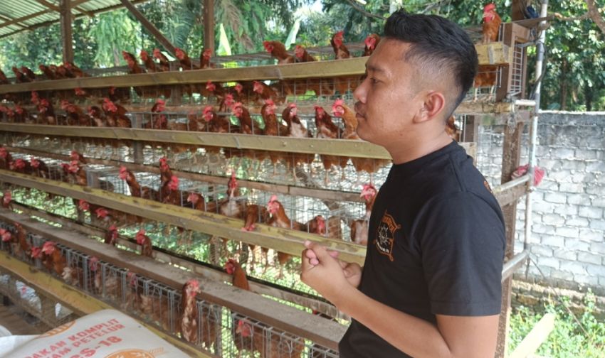 Ketersediaan Telur Ayam Bulan Ramadhan dan Jelang Hari Raya di Binjai dan Langkat Dipastikan Mencukupi