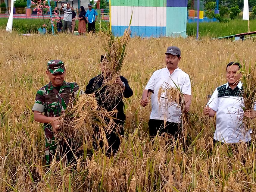 Hindari Residu Sawah, Gatra Kencana Hasilkan Beras Organik Yang Sehat Bagi Masyarakat