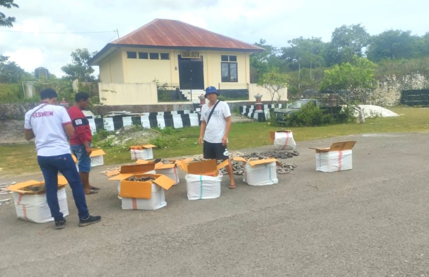 Dugaan Bisnis Ilegal 13 Koli Teripang dan 1 Koli Sirip Hiu, Xie Qiaobang Sebut Oknum Jaksa di Rote Ndao Sudah Sekali Kirim