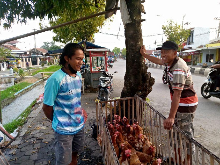 Pedagang Ayam Merah Mulai Padati Trotoar Jalan di Pemalang