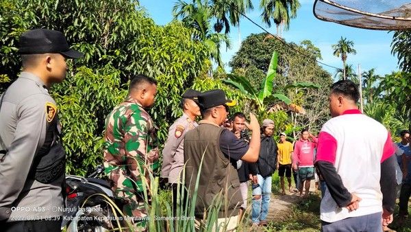 Pasca Gempa, Warga Mentawai Sudah Kembali ke Rumah