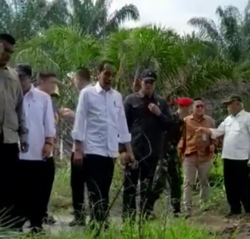 Masyarakat Sialang Taji Curhat ke Presiden Jokowi Terkait Tanggul Sungai Kualuh Jebol