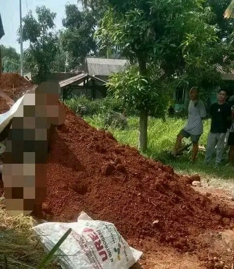 Mayat Ditumpukan Tanah Gegerkan Warga Pemalang, Diduga Korban Tewas Tertimbun
