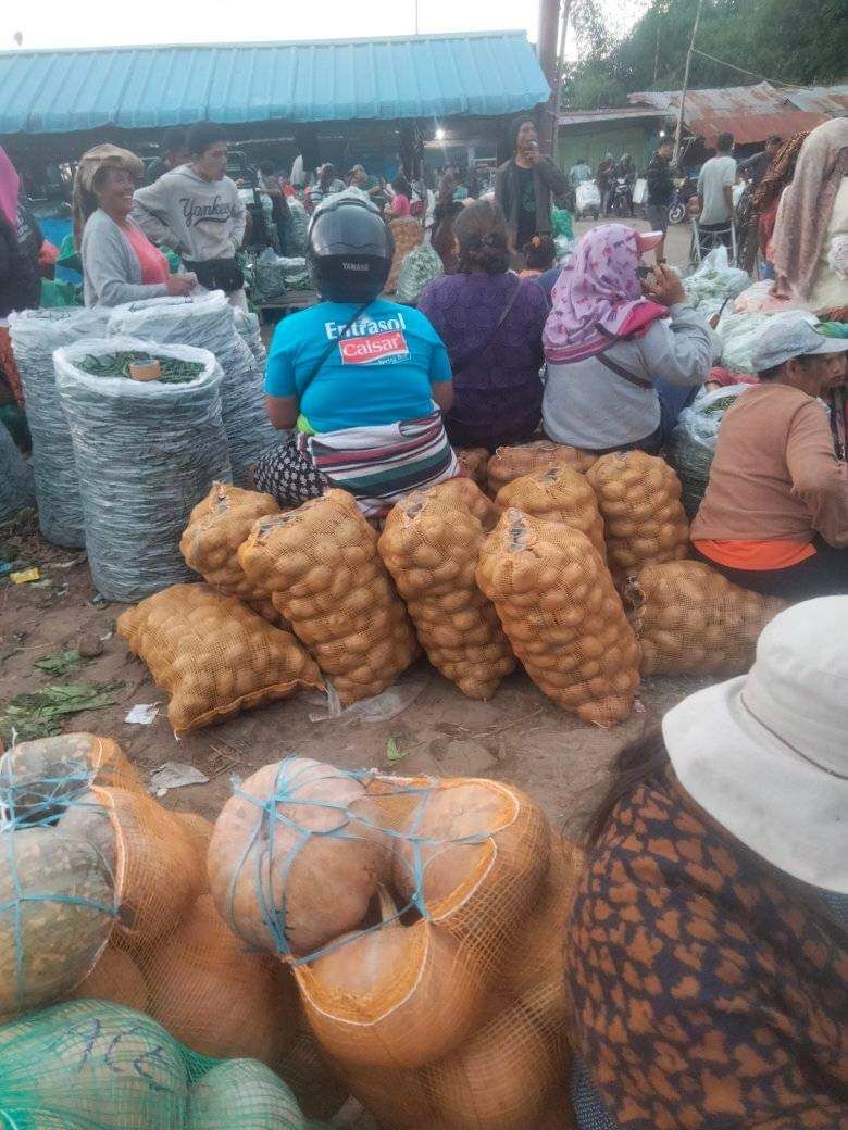 Akibat Cuaca Hujan, Petani Karo Hampir Gigit Jari