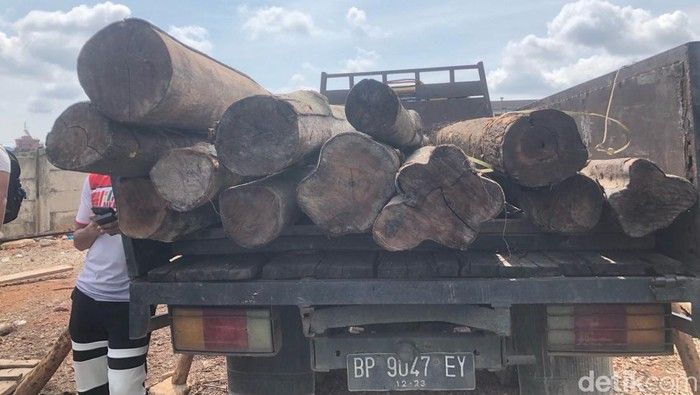 Lima Pelaku Penyelundupan Kayu Mahang Ilegal Ditangkap Polresta Barelang, 84 Ton Barang Bukti Diamankan