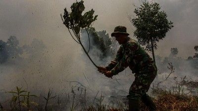 Musim Kemarau, Aceh Tengah Dilanda Karhutla