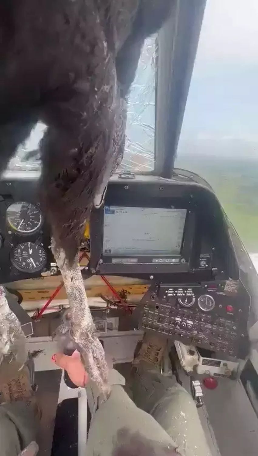 Burung Raksasa Tabrak Kaca Depan Pesawat, Pilot Berhasil Mendarat Darurat Meski Berlumuran Darah