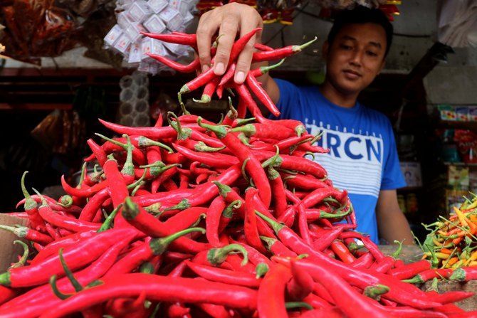 Harga Terus Naik, Cabai Diprediksi Penyumbang Inflasi di Sumut