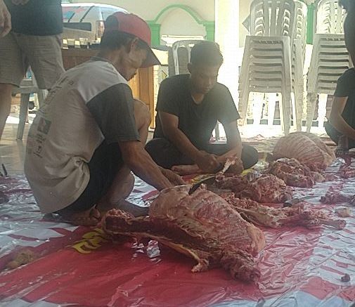 Kamu Wajib Tahu, Daging Domba Peternakan dengan Pakan Buatan Pabrik Lebih Enak dan Empuk