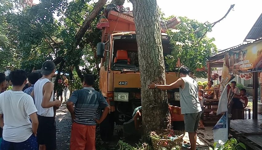 Dam Truk Hantam Pohon di Jalinsum Madina dan Nyaris Timpa Warung