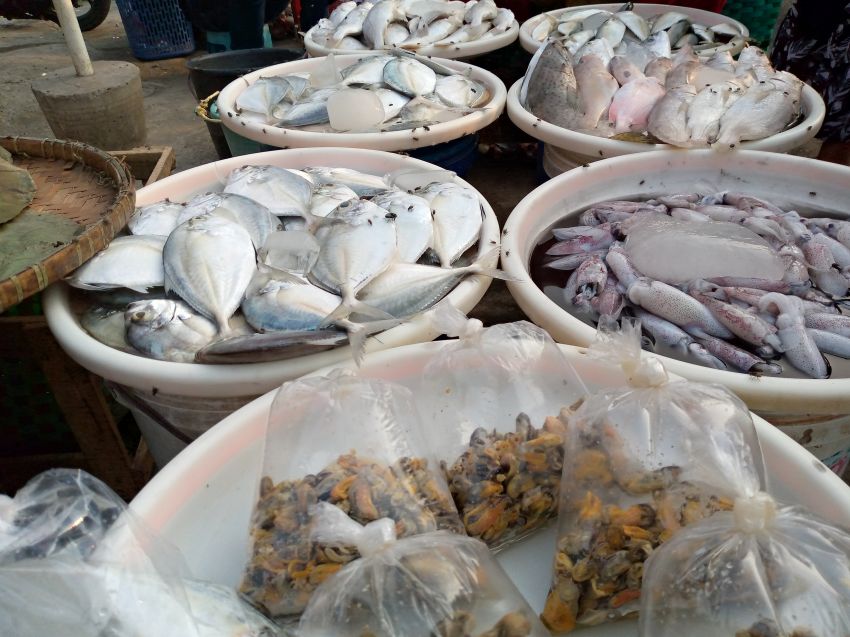 Pasca Idul Adha, Harga Ikan Segar Melonjak Naik, Ini Penyebabnya