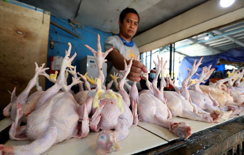 Harga Daging Ayam di Kuningan Capai Rp 50.000 Jelang Idul Adha