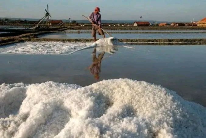 Produksi Garam di Madura Meningkat, Harga Diperkirakan Alami Kenaikan