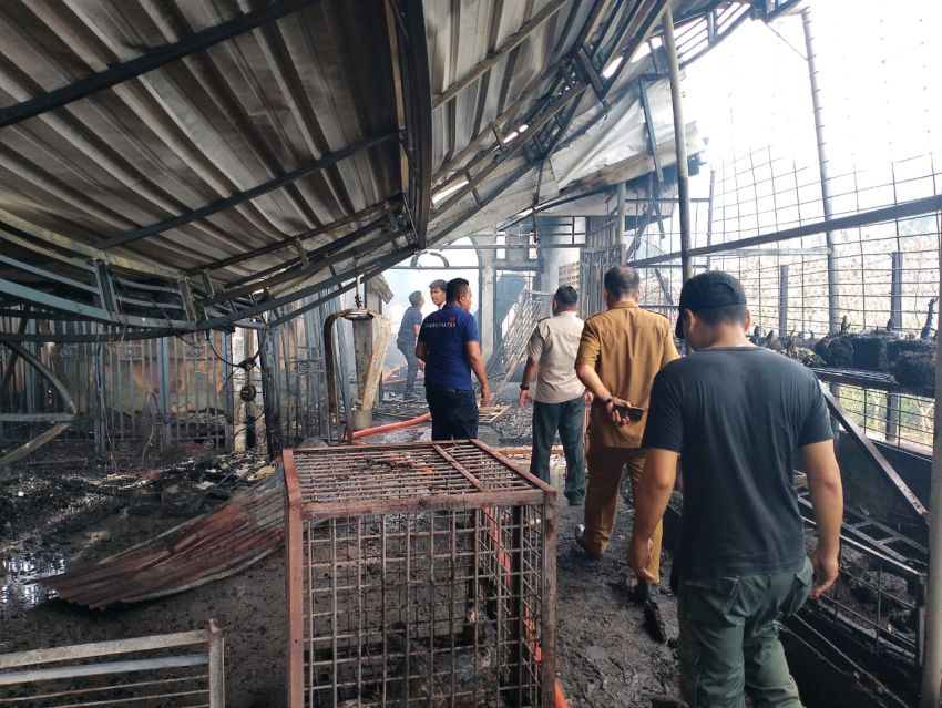 Satu Unit Rumah di Binjai Hangus, Diduga Sengaja Dibakar OTK