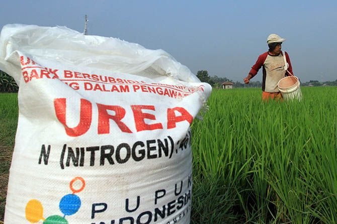 PIM Salurkan 46.219 Ton Pupuk Subsidi