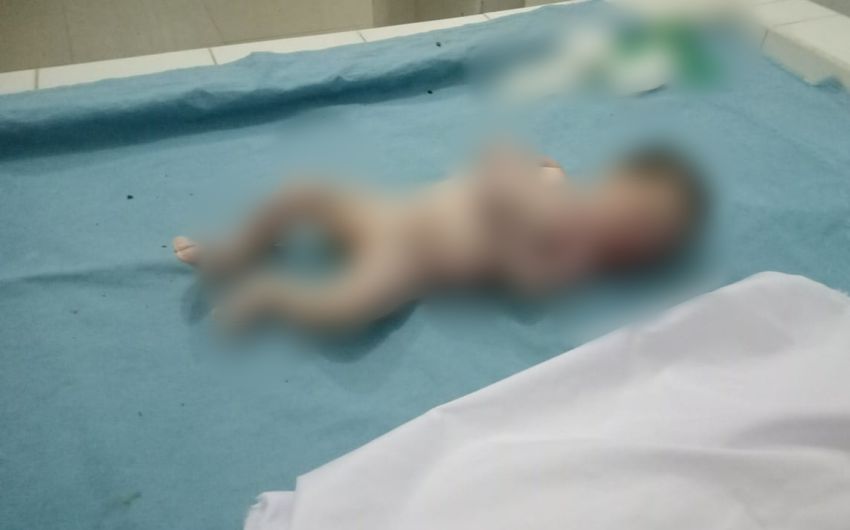 Saksi Sebut Awal Kali Temukan Jasad Bayi di Madina, Curigai Gundukan Tanah Dalam Pekarangan Rumahnya 