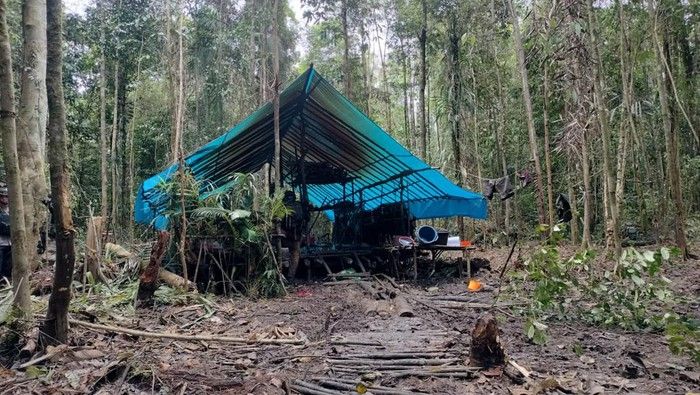 Markas KKB Ditemukan di Hutan Belakang Kantor Bupati Yahukimo