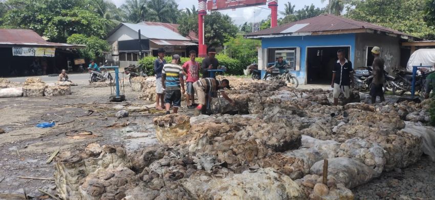 Harga Karet di Sumut Merosot