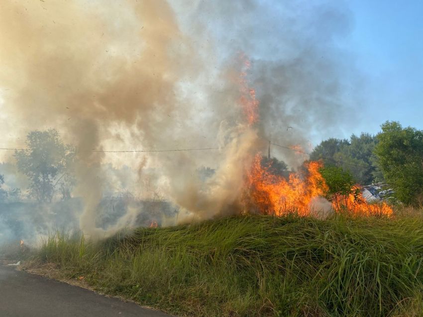 Hektaran Lahan Terbakar, Tim Damkar dan BPBD Pemalang Berjibaku Jinakan Api